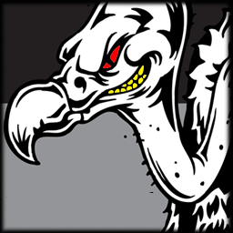 عکس تیم Buzzard